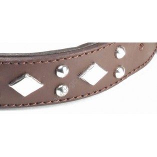 Adjustable PADDED Half check Leather Dog Collar small width 1"(2.5cm)